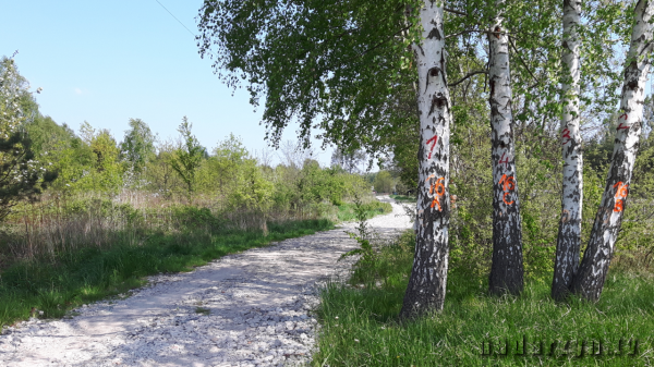 Ulica Plantowa - geodezyjny bałagan